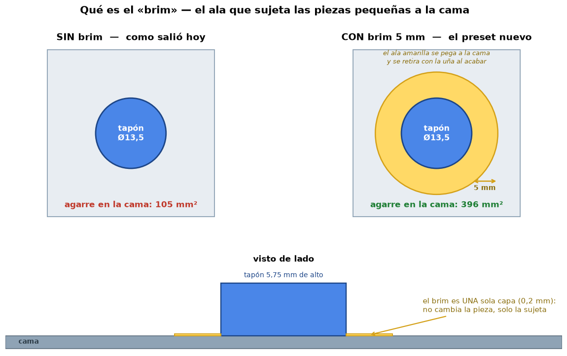 Brim: sin y con